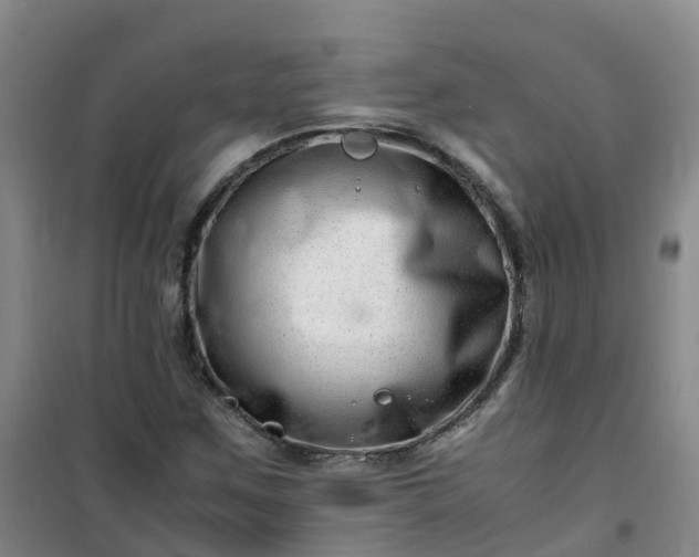 X0000101171259200807111044