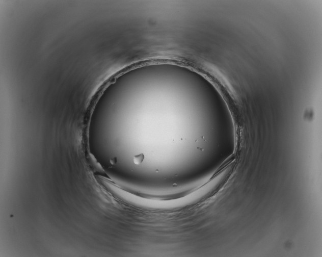 X0000101171260200807111044