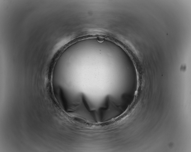 X0000101171261200807111044