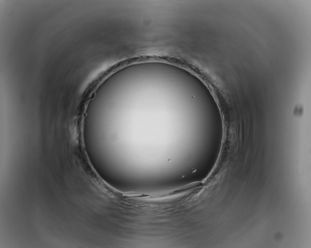 X0000101171262200807111044