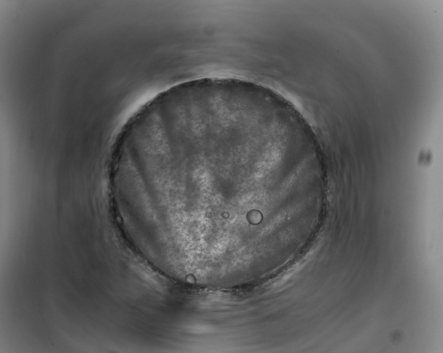 X0000101171263200807111044