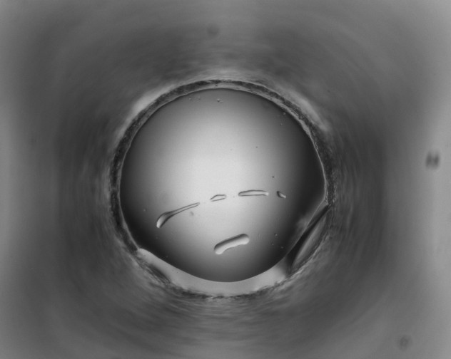 X0000101171264200807111044