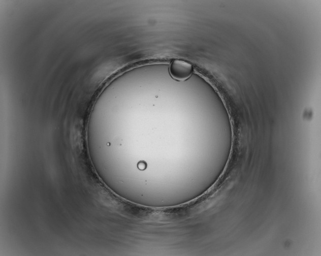 X0000101171265200807111044