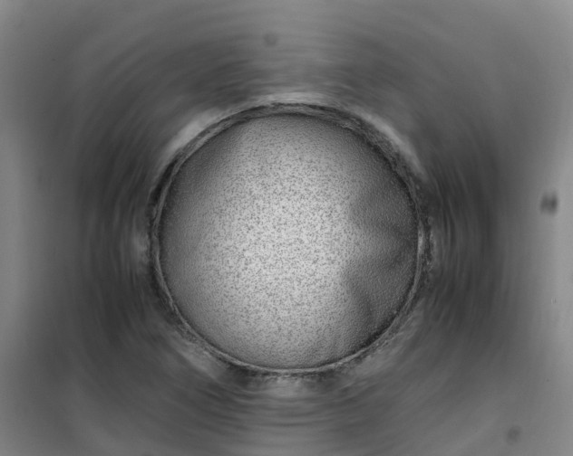X0000101171266200807111044