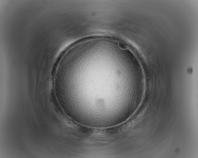 X0000101171267200807111044