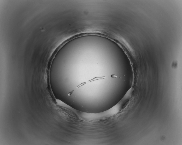 X0000101171268200807111044