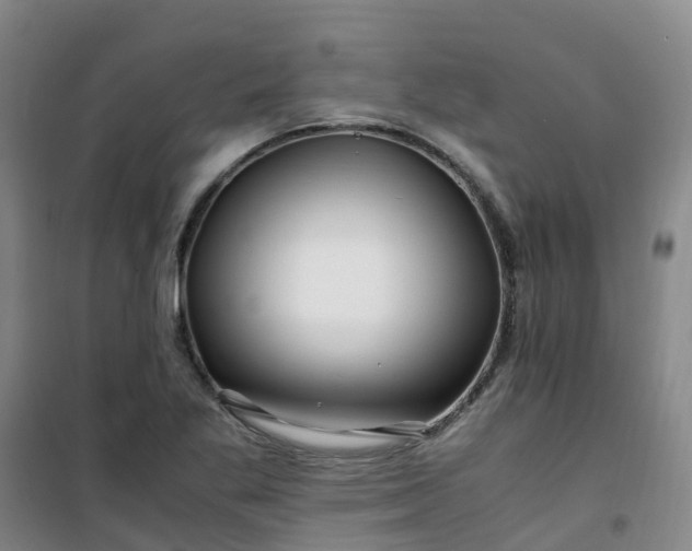X0000101171269200807111044