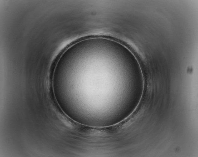 X0000101171270200807111044