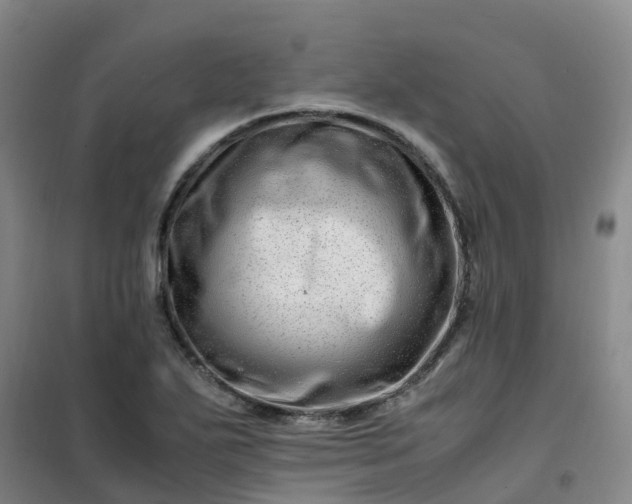 X0000101171271200807111044