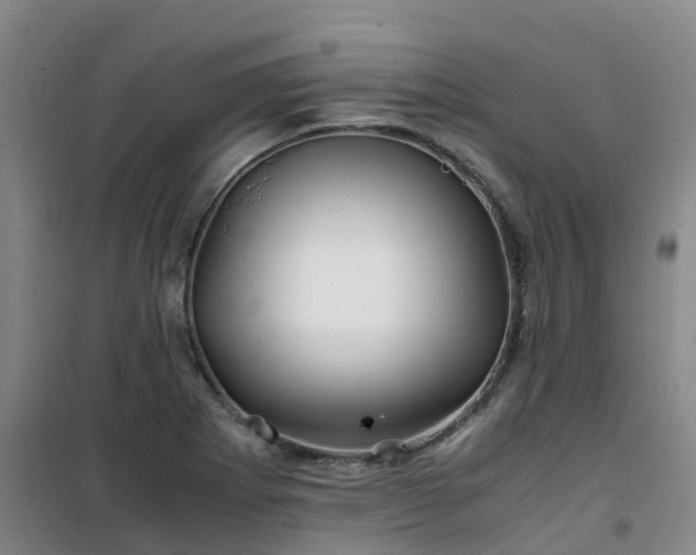 X0000101171273200807111044
