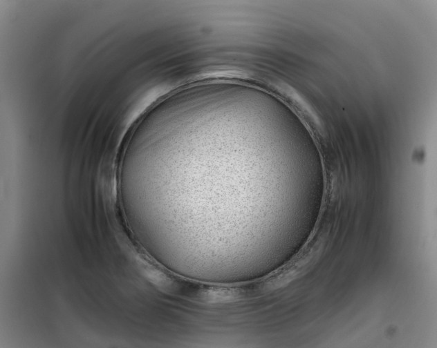 X0000101171274200807111044