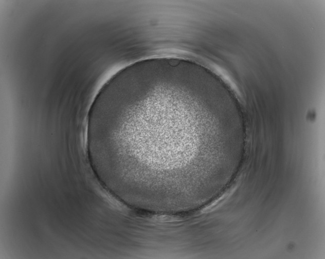 X0000101171275200807111044