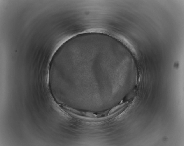X0000101171276200807111044