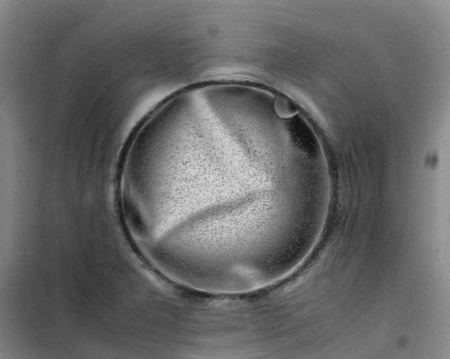 X0000101171277200807111043