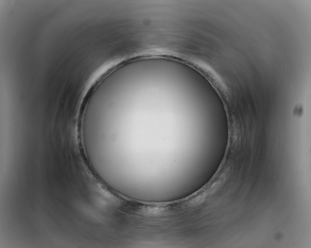 X0000101171278200807111043