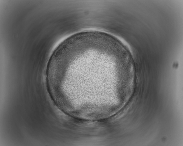 X0000101171279200807111043