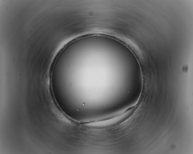 X0000101171280200807111043