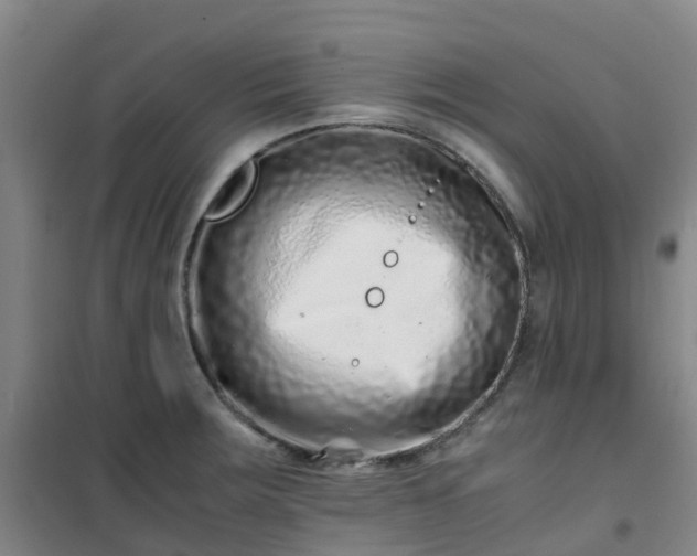X0000101171283200807111043
