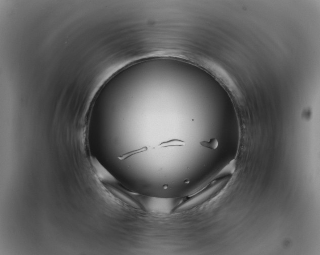X0000101171284200807111043