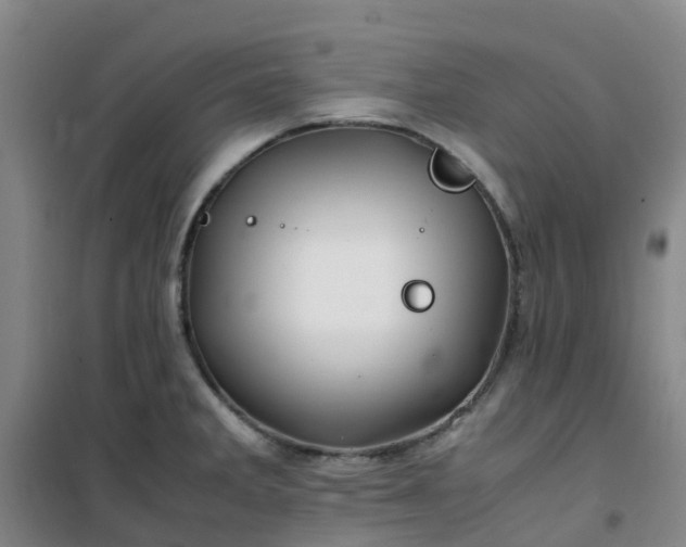 X0000101171285200807111043