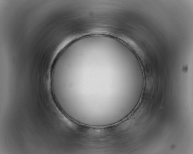 X0000101171286200807111043