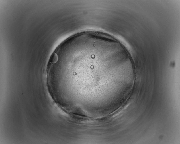 X0000101171287200807111043