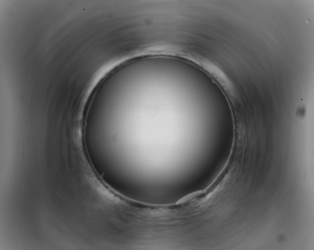 X0000101171288200807111043