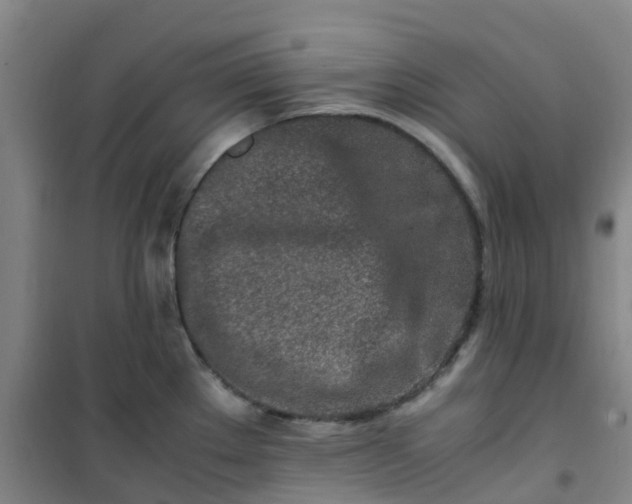 X0000101171289200807111043