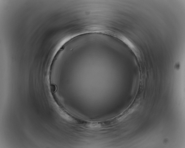 X0000101171291200807111043