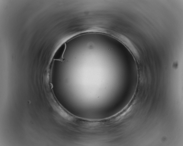 X0000101171292200807111043