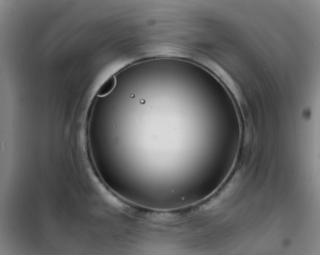 X0000101171293200807111043