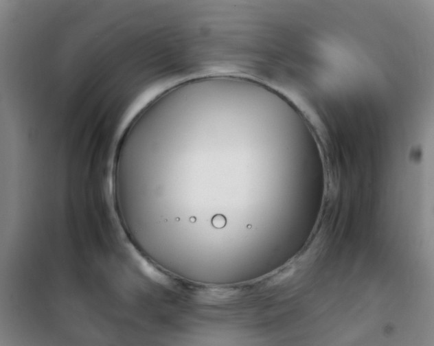 X0000101171294200807111043