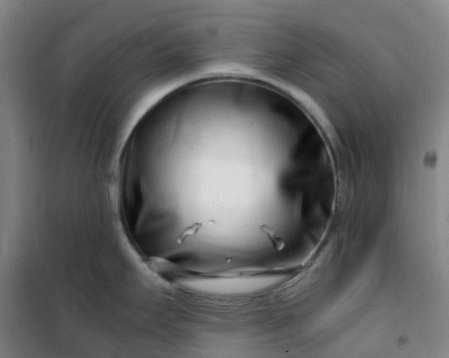 X0000101171295200807111043