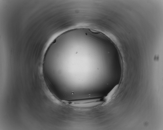 X0000101171296200807111043
