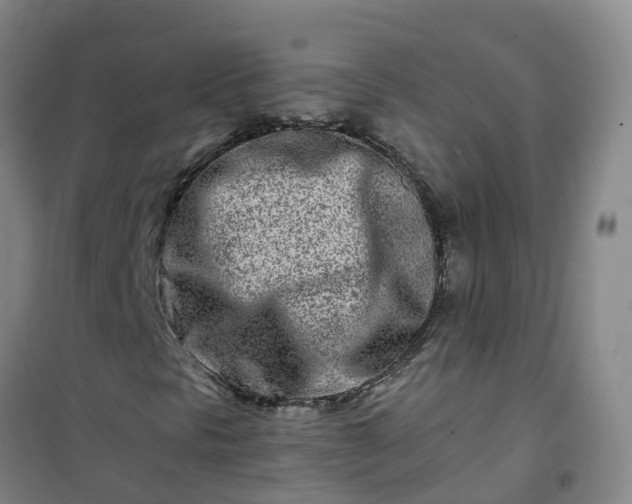 X0000101171297200807111042