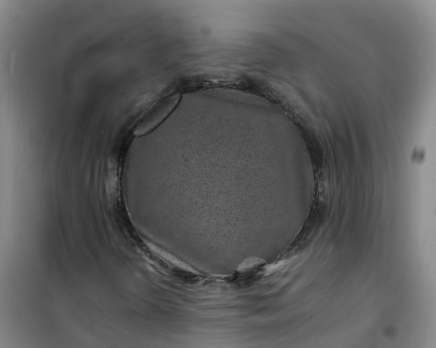 X0000101171298200807111042