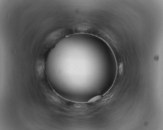 X0000101171299200807111042