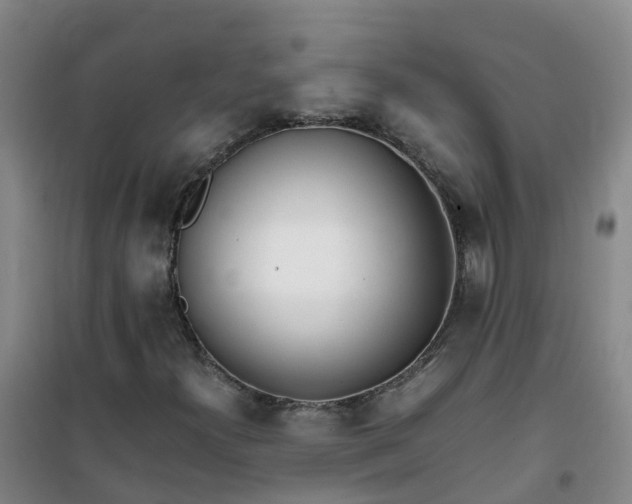 X0000101171300200807111042