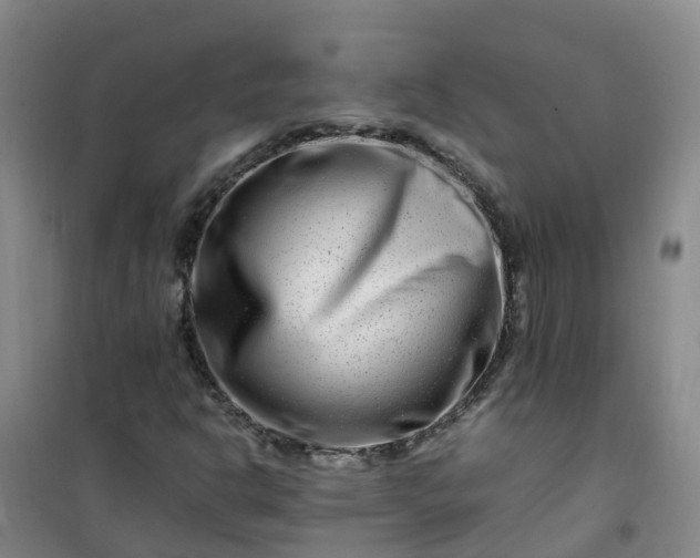 X0000101171302200807111042