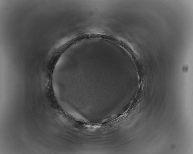 X0000101171303200807111042