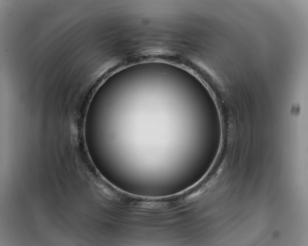 X0000101171305200807111043