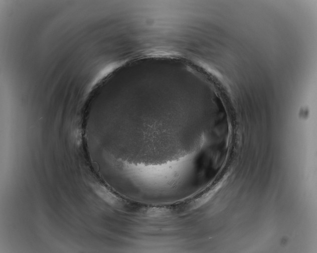 X0000101171306200807111043