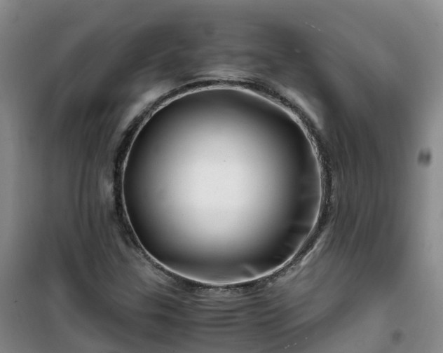 X0000101171307200807111043