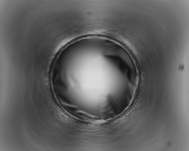 X0000101171308200807111043