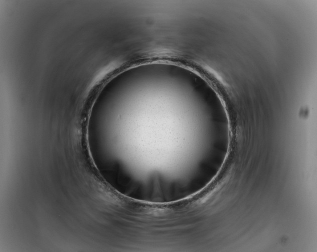 X0000101171309200807111043