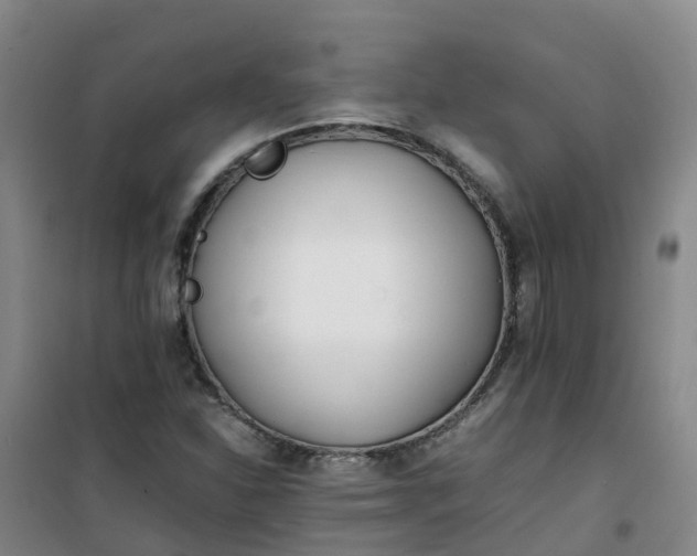 X0000101171310200807111043