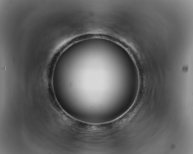 X0000101171311200807111043