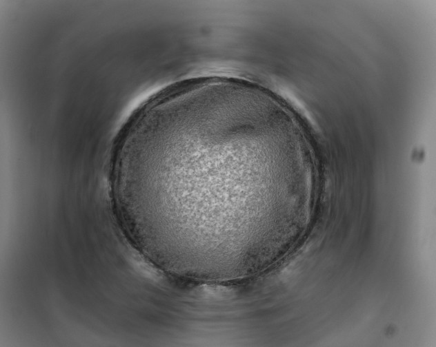 X0000101171312200807111043