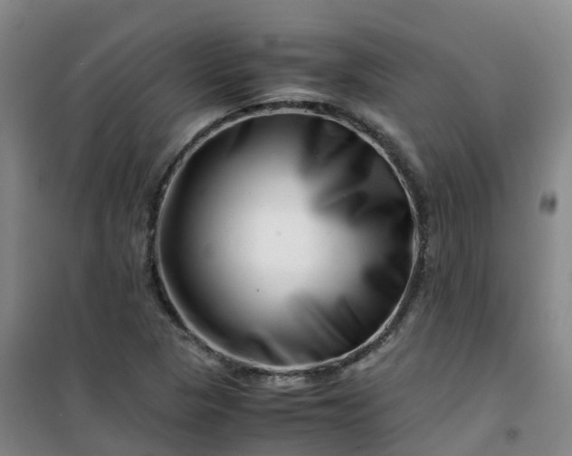 X0000101171313200807111043
