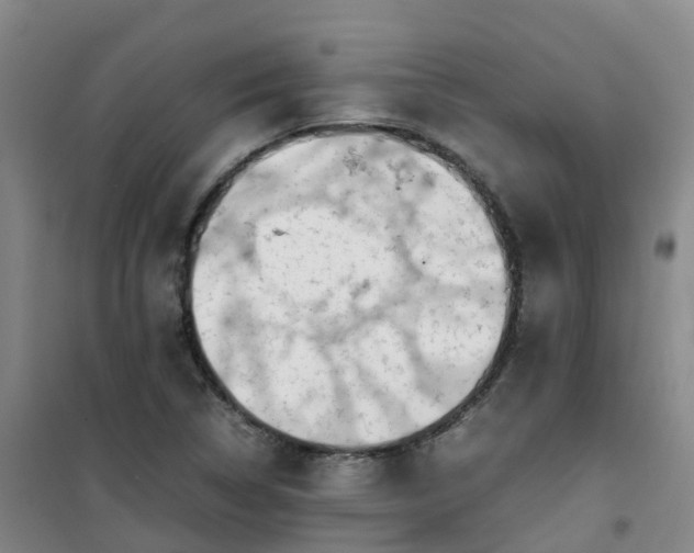 X0000101171314200807111043